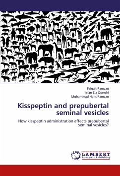 Kisspeptin and prepubertal seminal vesicles - Ramzan, Faiqah;Qureshi, Irfan Zia;Ramzan, Muhammad Haris