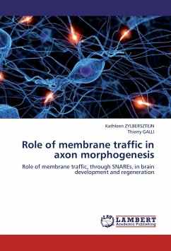 Role of membrane traffic in axon morphogenesis
