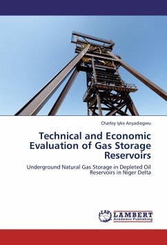 Technical and Economic Evaluation of Gas Storage Reservoirs