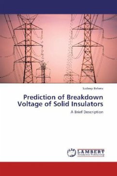 Prediction of Breakdown Voltage of Solid Insulators