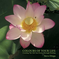 Colours of Your Life - Dinga, Steve