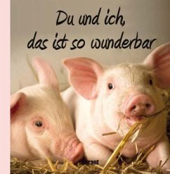 Cover Du und ich das ist so wunderbar