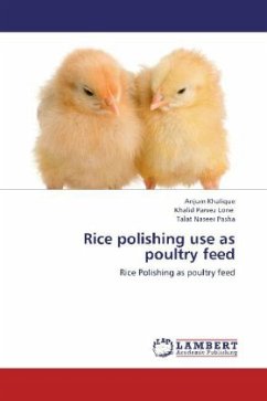 Rice polishing use as poultry feed - Khalique, Anjum;Parvez Lone, Khalid;Naseer Pasha, Talat