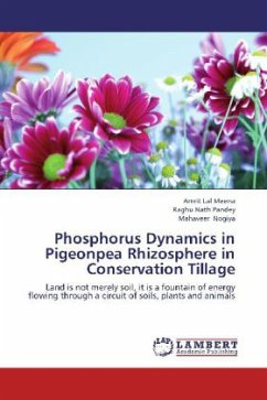 Phosphorus Dynamics in Pigeonpea Rhizosphere in Conservation Tillage - Meena, Amrit Lal;Pandey, Raghu Nath;Nogiya, Mahaveer