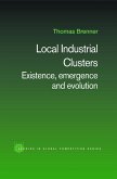 Local Industrial Clusters