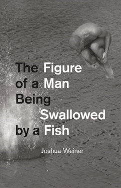 The Figure of a Man Being Swallowed by a Fish - Weiner, Joshua