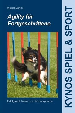 Agility für Fortgeschrittene - Damm, Werner