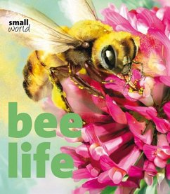 Bee Life - Evans, Lynette