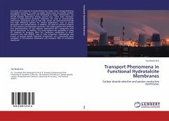 Transport Phenomena in Functional Hydrotalcite Membranes