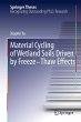 Material Cycling of Wetland Soils... - Bild 1