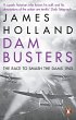 Dam Busters - Bild 1
