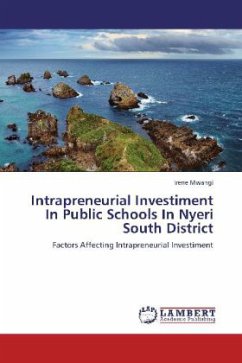 Intrapreneurial Investiment In Public Schools In Nyeri South District