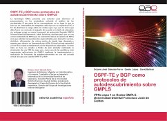 OSPF-TE y BGP como protocolos de autodescubrimiento sobre GMPLS