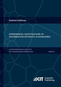 Experimental Investigations of Deformation Pathways in Nanowires