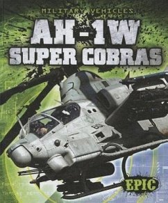 AH-1W Super Cobras - Finn, Denny von