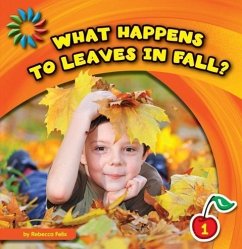 What Happens to Leaves in Fall? - Felix, Rebecca