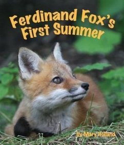 Ferdinand Fox's First Summer - Holland, Mary