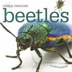 Beetles - Bodden, Valerie