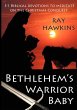 Bethlehem's Warrior Baby - Bild 1