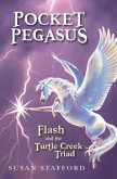 Pocket Pegasus