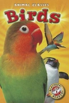 Birds - Schuetz, Kari