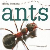 Ants