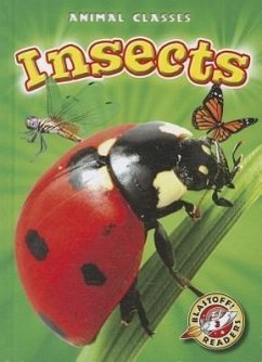 Insects - Schuetz, Kari