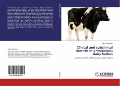 Clinical and subclinical mastitis in primiparous dairy heifers