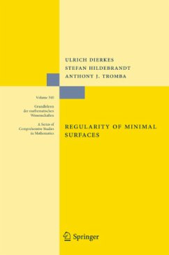 Regularity of Minimal Surfaces - Dierkes, Ulrich;Hildebrandt, Stefan;Tromba, Anthony