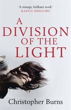 A Division of the Light - Burns, Christopher
