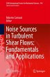 Noise Sources in Turbulent Shear Flows:... - Bild 1