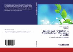 Spacing And Fertigation In Brinjal (solanum Melongena L.) Grafts