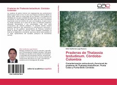 Praderas de Thalassia testudinum. Córdoba-Colombia - Lugo Romero, Elkin Guillermo
