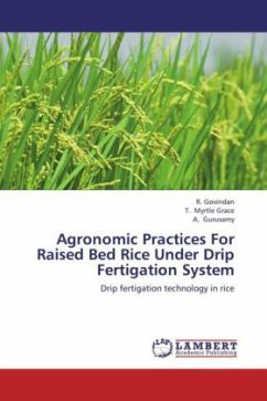 Agronomic Practices For Raised Bed Rice Under Drip Fertigation System