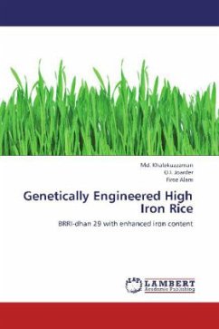 Genetically Engineered High Iron Rice