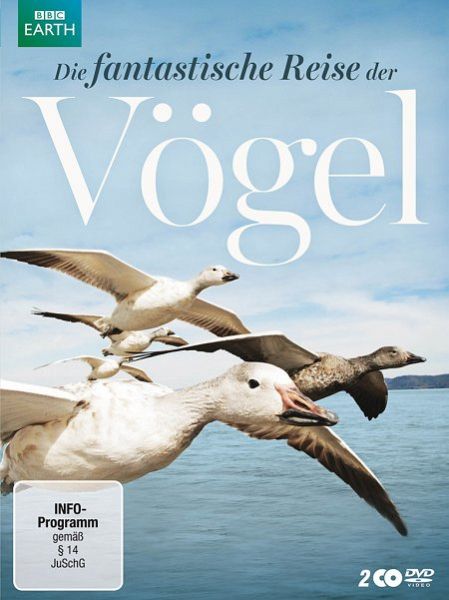 Die fantastische Reise der Vögel - 2 Disc DVD auf DVD - Portofrei bei  bücher.de