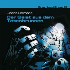 Der Geist aus dem Totenbrunnen - Junker, Raimund;Birker, Thomas
