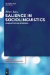 Salience in Sociolinguistics - Bild 1