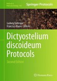 Dictyostelium discoideum Protocols