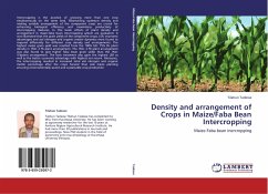 Density and arrangement of Crops in Maize/Faba Bean Intercropping