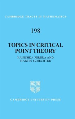 Topics in Critical Point Theory - Perera, Kanishka; Schechter, Martin