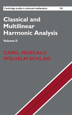 Classical and Multilinear Harmonic Analysis - Muscalu, Camil; Schlag, Wilhelm