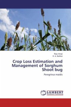 Crop Loss Estimation and Management of Sorghum Shoot bug