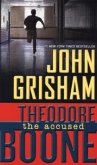 Theodore Boone - The Accused\Theo Boone - Unter Verdacht, englische Ausgabe