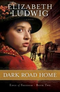 Dark Road Home - Ludwig, Elizabeth