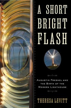 A Short Bright Flash - Levitt, Theresa