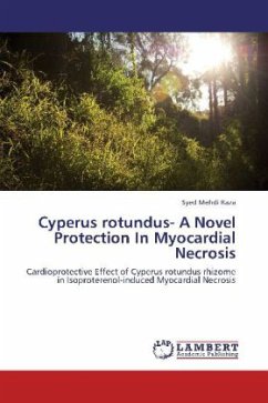 Cyperus rotundus- A Novel Protection In Myocardial Necrosis
