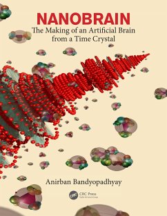 Nanobrain - Bandyopadhyay, Anirban (National Institute for Materials Science, Ib