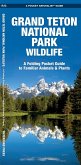 Grand Teton National Park Wildlife