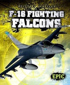 F-16 Fighting Falcons - Finn, Denny von